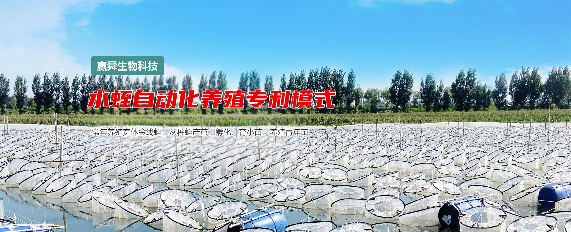 摇钱树娱乐