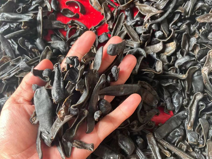 摇钱树娱乐制品