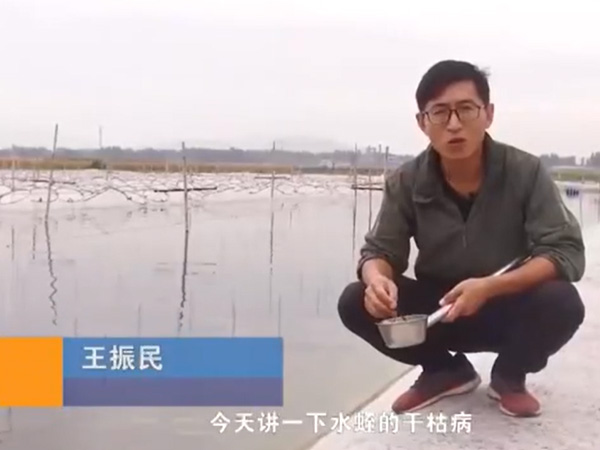 视频展示