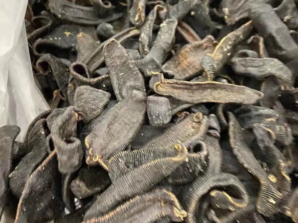 摇钱树娱乐加工的几种方式
