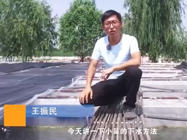 摇钱树娱乐幼苗的下水步骤