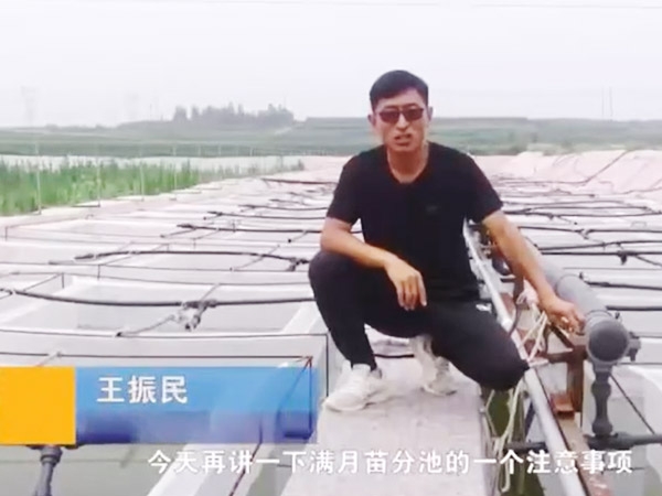 摇钱树娱乐满月苗确当苦衷项