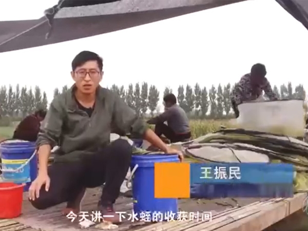 摇钱树娱乐收成功夫
