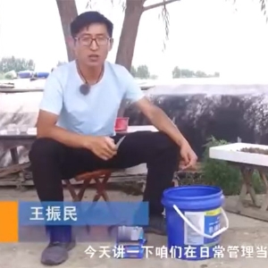 摇钱树娱乐养殖日常需检测的水体指标