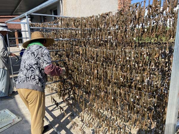摇钱树娱乐制品